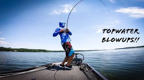BIG BASS Were CRUSHING Topwater Right Beside the BOAT!! || Fish Monkey Gloves Giveaway