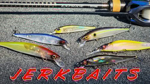 BUYER'S GUIDE: Jerkbaits and Jerkbait Rods For Bass!