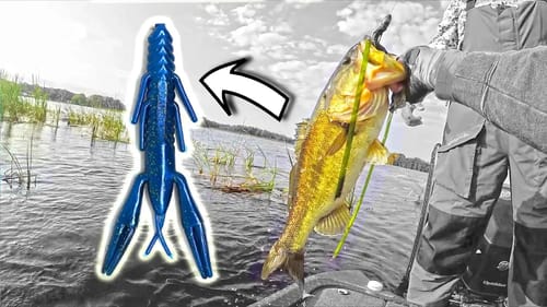FISHING a NEW LAKE!!!  PUNCHING for BASS!
