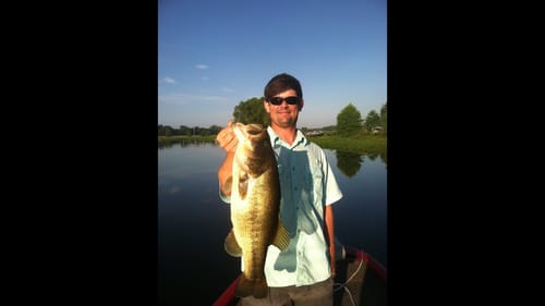 Big Summertime Bass