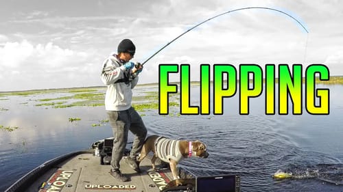 Flipping Heavy Cover for Pre Spawn Bass (GIANT Fish + Phytobedo!!!)