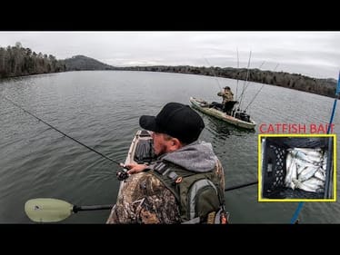 YOU KNOW FISHING IS TOUGH WHEN CATCHING BAIT IS THIS FUN !!!