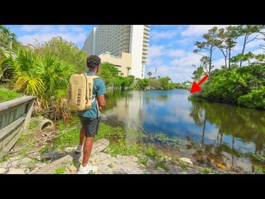 the best ponds are hidden in plain sight…