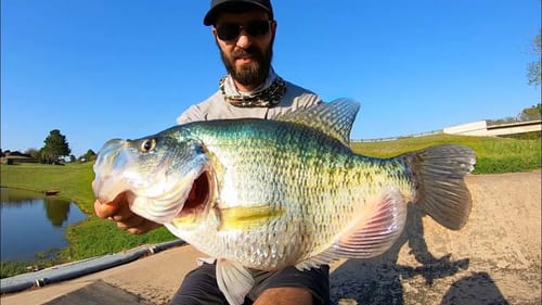 The CRAPPIE of a LIFETIME!!! (INSANE)