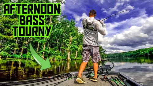 These BASS Were CHEWING!!! || Summer Bass Tournament
