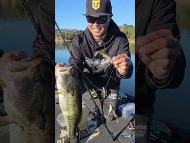 FINESSE Alabama Rig in the Winter