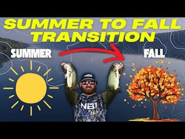Pro Tips to Catch More Bass in the Summer to Fall Transition!