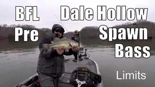 Pre Spawn Transition Bass Fishing - Limits BFL Series