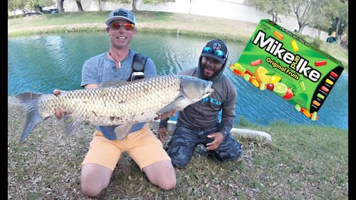 Catching fish on CANDY with Monster Mike!!!