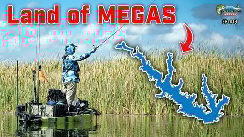 Is Sam Rayburn the HOTTEST Lake in the Country Right Now?