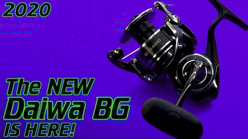 THE NEW DAIWA BG MQ IS HERE:  I want YOU to tell me what YOU want me to do!
