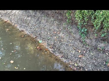 95% Of Anglers Can’t Tell Me Why This Thumbnail Pic Is A GREAT Place To Catch Bass..