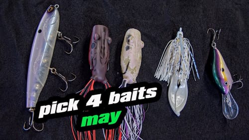 Pick 4 | Baits For May