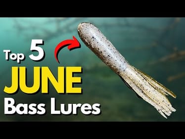 Top 5 June Bass Fishing Lures (Watch Underwater)
