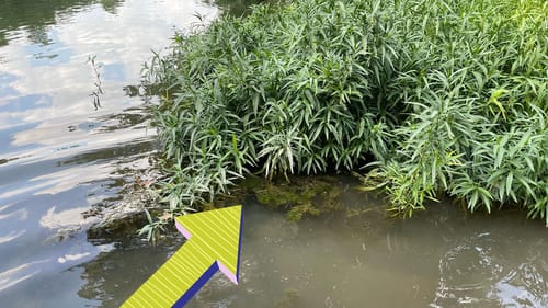 Y’all Better Learn The RIGHT Way To Fish Water Willows…(On The Water Tutorial)