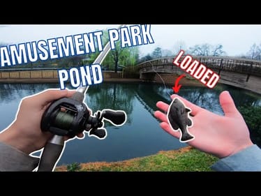 FISHING and Sneaking Into AMUSEMENT Park POND Loaded w/ BASS