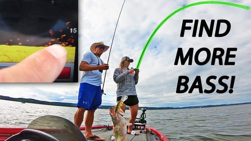 What BASS Look Like on Your GRAPHS! (LEDGE FISHING GUNTERSVILLE)