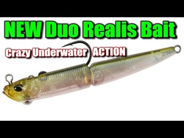 The NEW Japanese Bait You Need NOW To Catch More Fish Than Ever