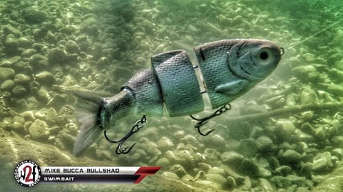 Bucca's Bull Shad Underwater Video