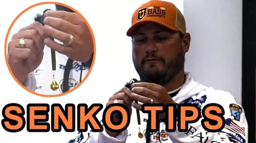 Senko Spinner - AWESOME Bass Fishing Tips