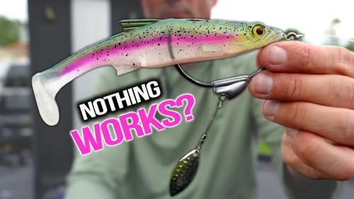 When they WON'T Bite Anything Else in Late Summer!