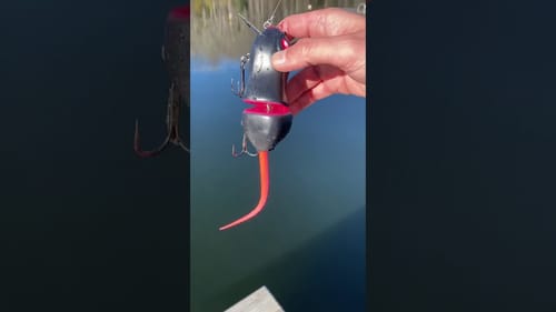 Swimbait Review: Illude Narle Gerbil