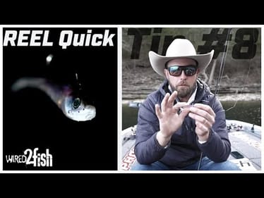 Why Weight Size Matters with FFS Baits