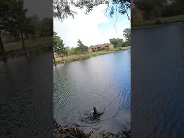 Didn’t see that coming!😳 #fishing