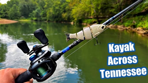 Middle Tennessee Smallmouth Fishing (Day 3)