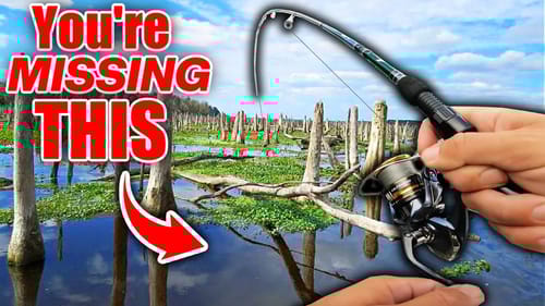 99% of Fishermen are TOO SCARED to Fish Like THIS.... (Big Mistake)