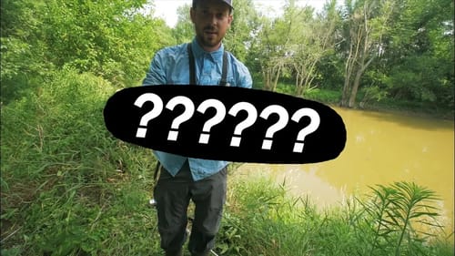 It is ILLEGAL to Release This Fish!