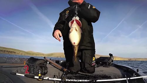 State Record Smallmouth Bass Caught on A-Rig in South Dakota