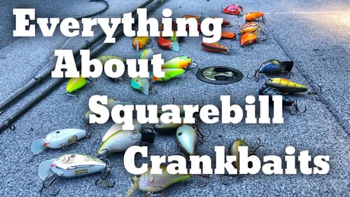 Spring Bass Fishing with Squarebill Crankbaits - Sorry for flicking you off