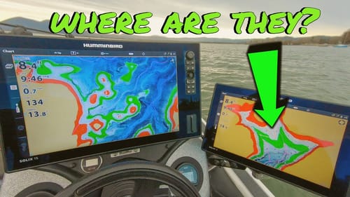 Where Do Bass Go During Early Spring? (And How To Catch Them)