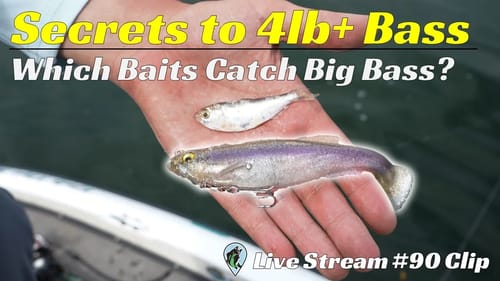Best Big Baits For 4lb+ Bass | FTM Livestream #90