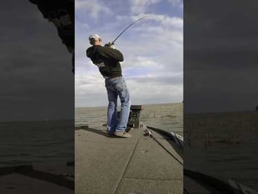 BOAT FLIP ONLY! Harris Chain Bass Fishing #short #bassfishing #harrischain