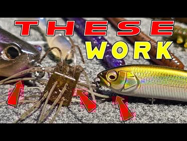Breaking Down A New Lake To Find And Catch Bass!
