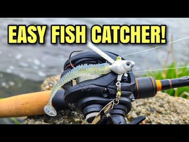 Fish LOVED This Easy Rig (SIMPLE Fish Catcher!)