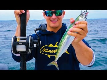 Catching Monster Fish on Huge Live Mackerel