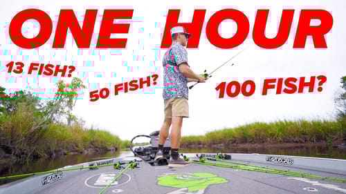 1 HOUR TO CATCH AS MANY FISH AS POSSIBLE!! (Fall Fishing)