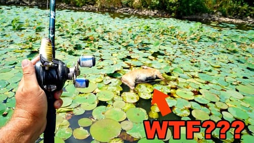 NASTIEST Thing I've EVER Seen while Fishing!!! (Dying Lake)