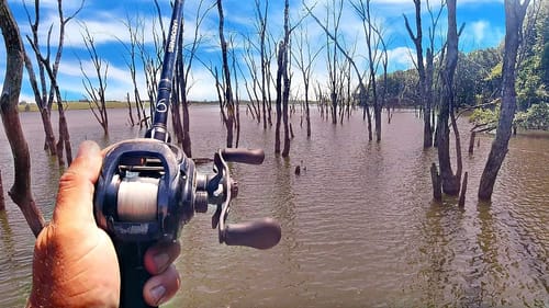 NEW Fishing Lake is LOADED w/ Bass!! (Tournament Pre-Fishing)