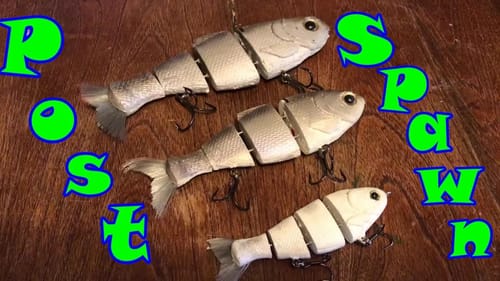 Post Spawn Baits You May Not Be Using
