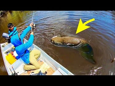 STRANGE SNAKE LIKE MONSTER pulled from FOREST POND!!