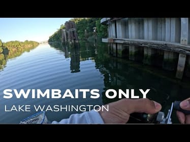 SWIMBAITS ONLY VOL. 1 #bassfishing #fishing #swimbaitfishing
