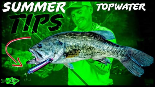 Bass Fishing New Lakes with Dual-Purpose Topwater Baits