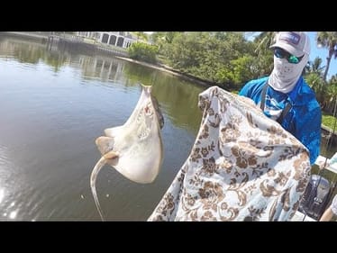 A Very Interesting Fishing Day