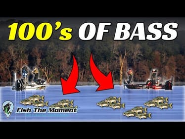 What Pros Aren’t Telling You About These “Magic” Offshore Areas