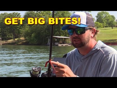 How I Catch Big Bass in August | Elite Pro Kyle Welcher’s Picks | Bass Fishing