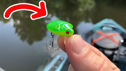 MICRO Stinkbug Lure Catches BIG Fish!!!!